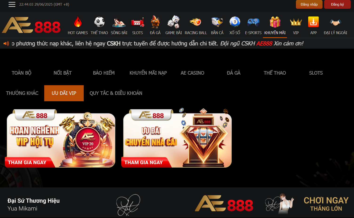 ae888ae888 Đăng ký ae888 Đăng nhập ae888 Website ae888 Đá gà