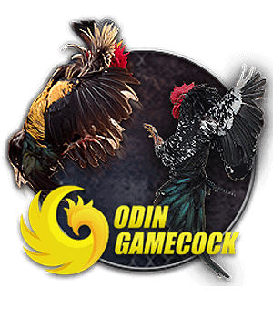 Sub animal od cock